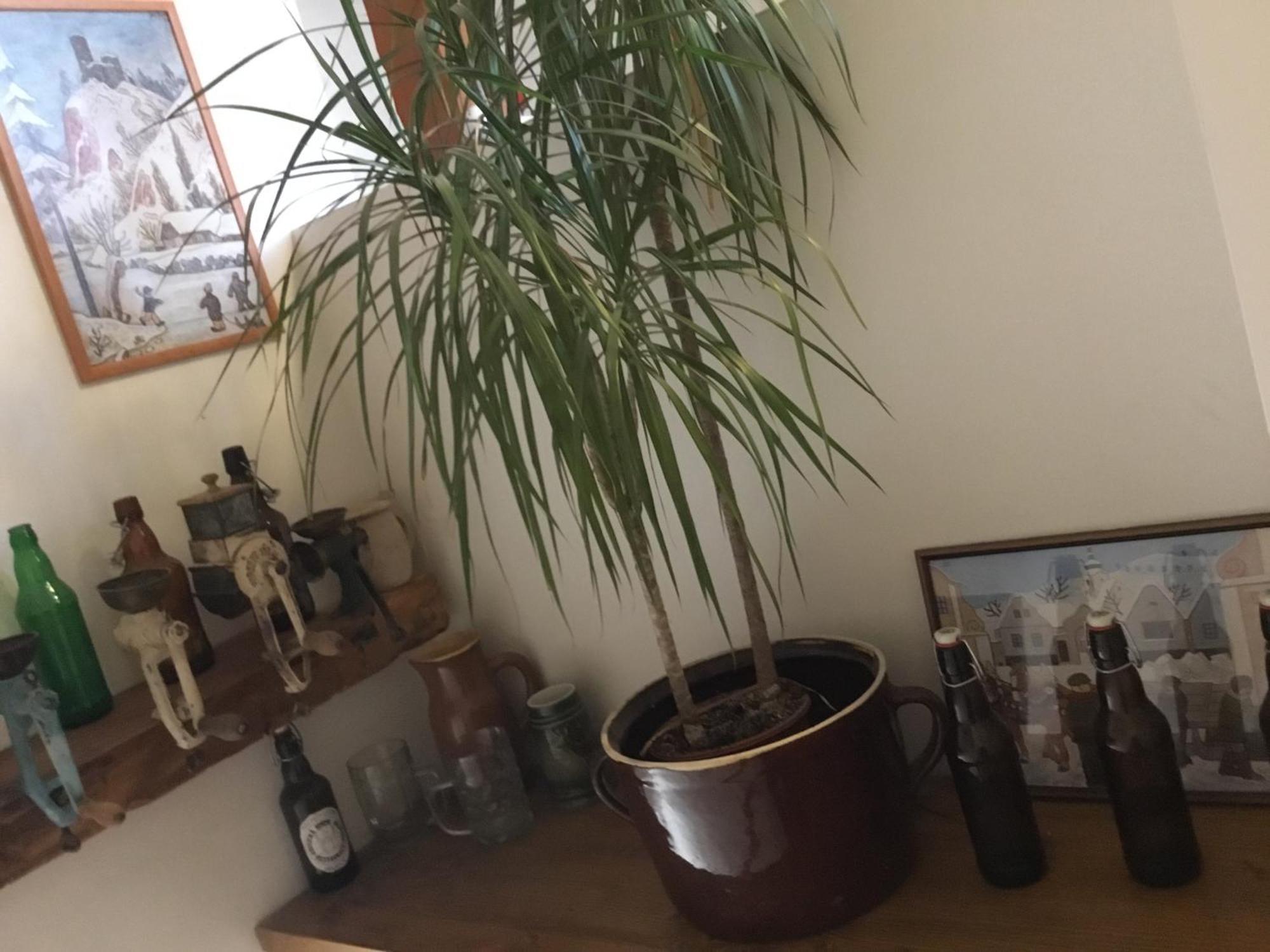 Hrusicka Restaurace A Penzion Hrusice Zewnętrze zdjęcie